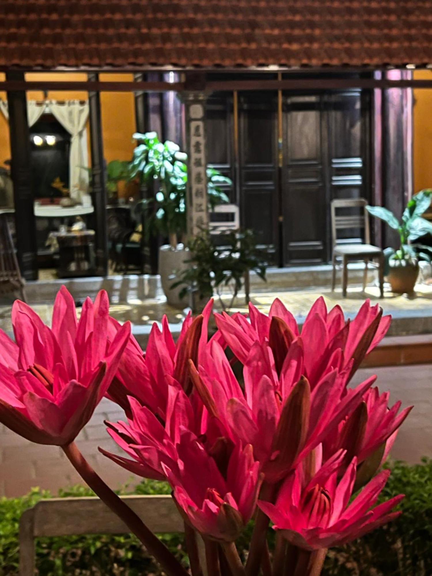 Thom'S House Hotel Ninh Binh Exterior foto