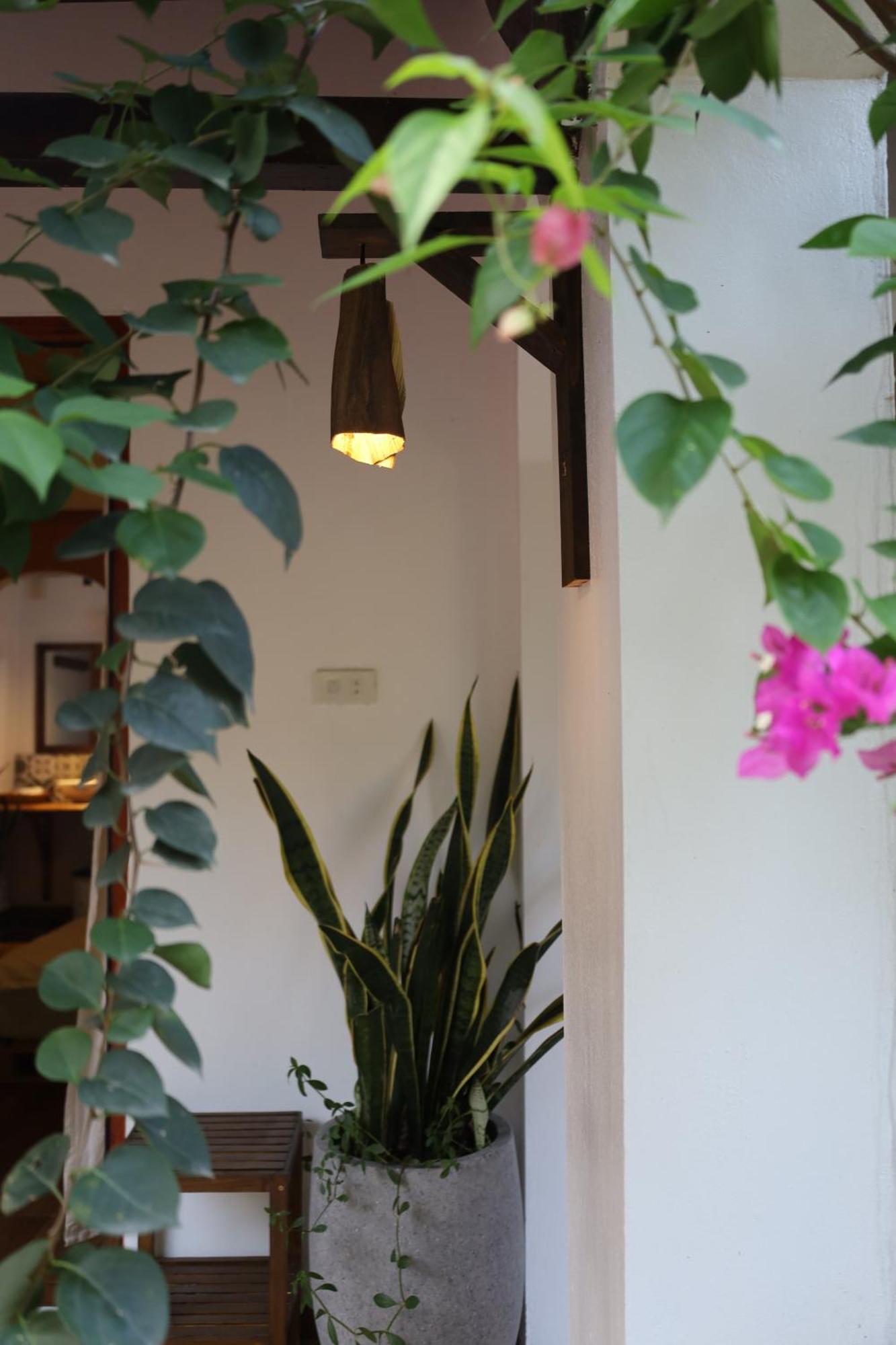 Thom'S House Hotel Ninh Binh Exterior foto